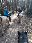 thumb 2019 015 maerz