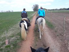 thumb 2019 015 maerz