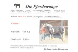 2019 055 august pferdewaage