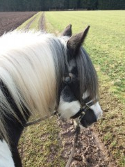 2020 025 februar copy