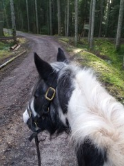 2020 025 februar copy