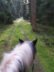 2020 025 februar copy