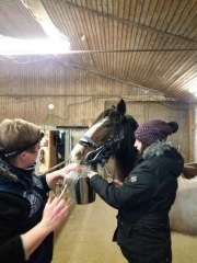 2020 025 februar copy