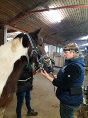 2020 025 februar copy