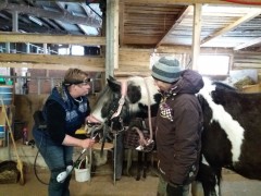 2020 025 februar copy