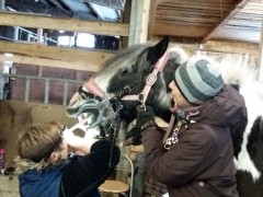 2020 025 februar copy