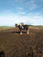 2020 025 februar copy