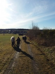 2020 025 februar copy