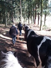 2020 025 februar copy