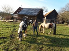 2020 025 februar copy