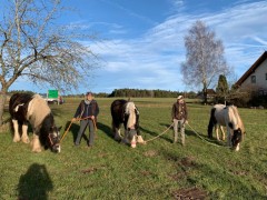 2020 025 februar copy