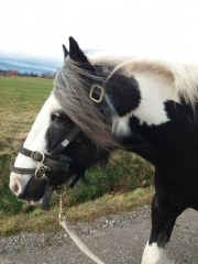 2020 025 februar copy