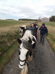 2020 025 februar copy