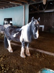 2020 025 februar copy