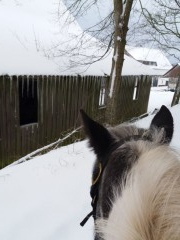 2020 025 februar copy