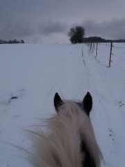 2020 025 februar copy