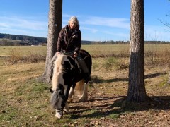 2020 025 februar copy