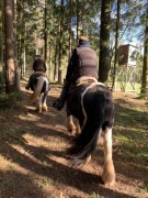 2020 025 februar copy