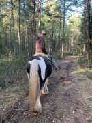 2020 025 februar copy