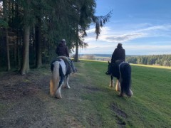 2020 025 februar copy