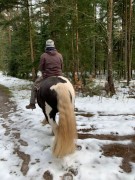 2020 025 februar copy