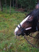 2020 194 august copy