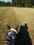 2020 201 august copy