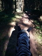 2020 202 august copy