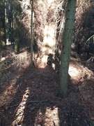 2020 203 august copy