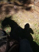 2020 204 august copy