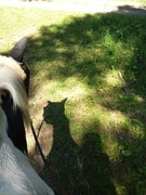 2020 205 august copy