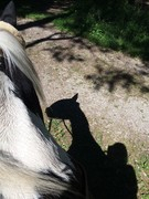 2020 206 august copy