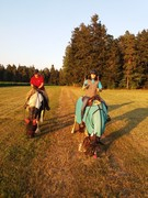 2020 215 august copy