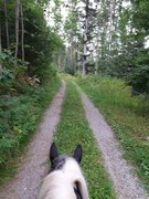 2020 223 august copy