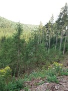 2020 225 august copy