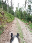 2020 226 august copy