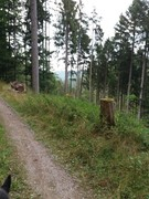 2020 228 august copy