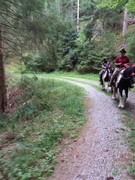 2020 229 august copy