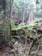 2020 231 august copy