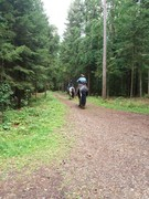 2020 245 august copy