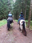 2020 246 august copy