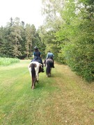 2020 249 august copy