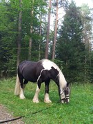 2020 253 august copy