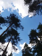 2020 256 august copy