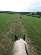 2020 263 september copy