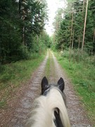 2020 265 september copy