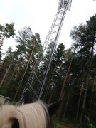 2020 268 september copy