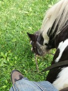 2020 269 september copy