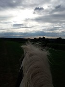 2020 273 september copy