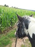 2020 276 september copy